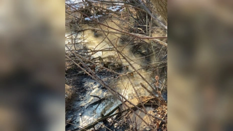 Во Владимире сточные воды загрязнили участки за пивоварней