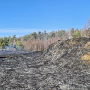 За сутки во Владимирской области области сухая трава загорелась в 32 местах