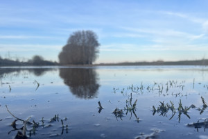 На карьере в Судогодском районе утонул 68-летний мужчина
