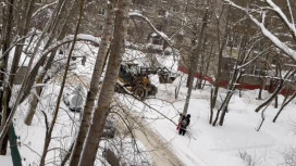 Во Владимирской области еще два района остались без света из-за снегопада