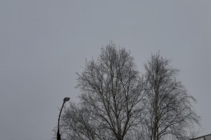 Во Владимире 4 марта завыли тревожные сирены