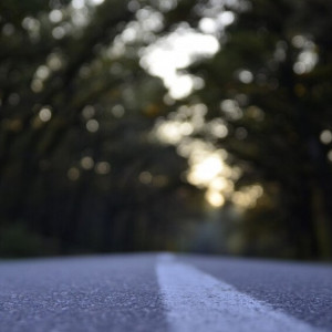 Правда или ложь? Шесть любопытных утверждений о Коврове