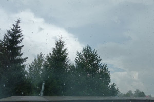 Прогноз погоды во Владимире и области на 20 августа