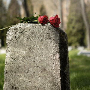 Чиновники из Петушков попали под суд из-за отсутствия санитарных зон для кладбищ