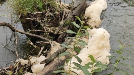 Прокуратура потребовала возбудить уголовное дело из-за загрязнения реки Пекша в Кольчугино