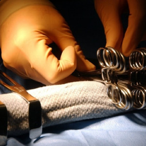 Пожаловавшейся владимирскому губернатору санитарке за месяц заплатили 54 рубля 