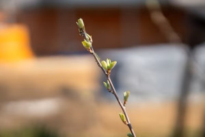 Прогноз погоды на 25 марта 2024 года во Владимире и области