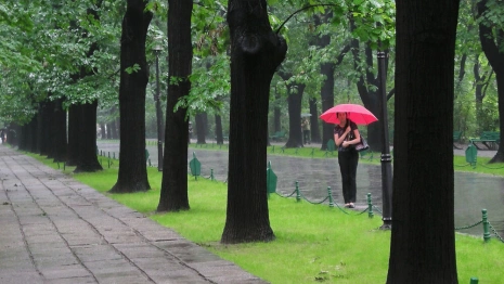 Ливни вернутся во Владимирскую область на новой неделе