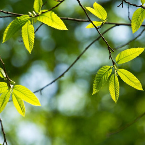 31 день Великого поста: что можно и нельзя 17 апреля 2024 года