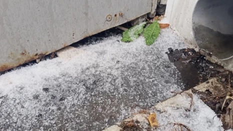 Во Владимире выпал первый снег