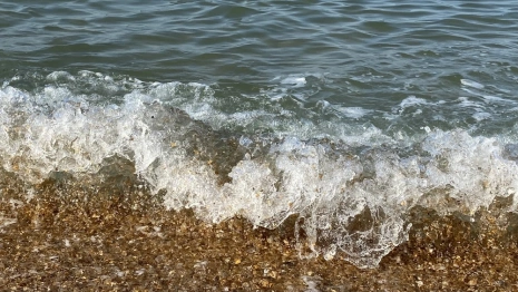 Во Владимирской области активизировались «туристические» мошенники