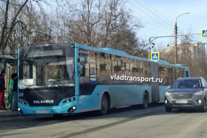 Во Владимире на маршрут вышел автобус-гармошка