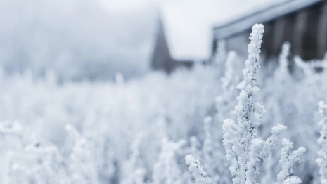 Прогноз погоды на 4 января 2024 года во Владимирской области