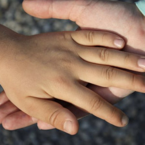 Минтруд развеял мифы о едином пособии на детей и беременных женщин