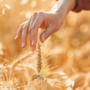 37 день Великого поста: что можно и нельзя 23 апреля 2024 года