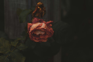 Во Владимире нашли труп 41-летнего мужчины