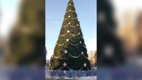Во Владимире установили еще три ящика для писем Деду Морозу