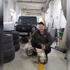 Задержанным за использование рабского труда оказался депутат из Собинки Николай Малышев