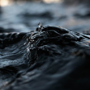 Во Владимирской области прекратили поиски пропавшего полтора года назад мужчины