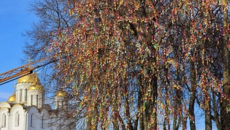 Во Владимире к маю снова «расцветет» пасхальное дерево