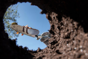 Житель Вязников заставил знакомую копать себе могилу за долг в 100 тыс. рублей