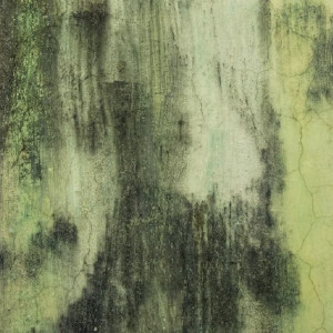 Во Владимирской области чиновников заставят выделить деньги на ремонт детских садов