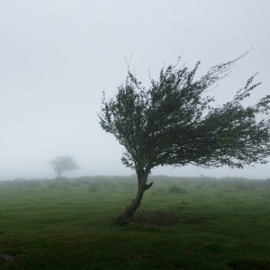 Во Владимирской области спрогнозировали ураган и грозу