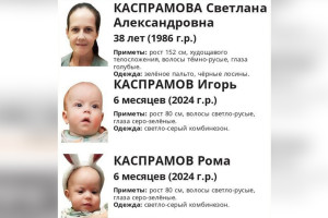 Владимирцев попросили помощи в поисках матери с двумя младенцами