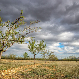 Прогноз погоды на 26 апреля во Владимире и области 