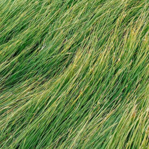 Во Владимирской области нашли артиллерийский снаряд 