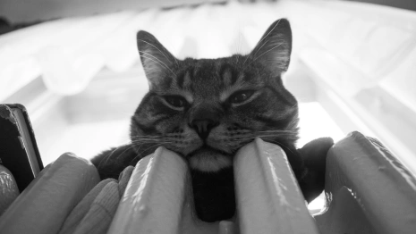 Жители 73 улиц Владимира проведут ночь без отопления