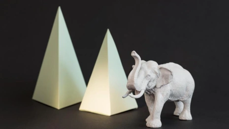 Во Владимирской области выявили 2 финансовые пирамиды и 2 нелегальных кредитора