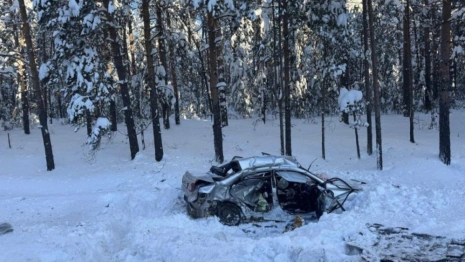 В ДТП на дорогах Владимирской области погибли 7 человек