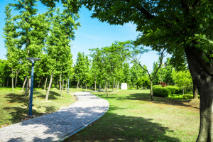 Прогноз погоды во Владимире и области на 28 мая