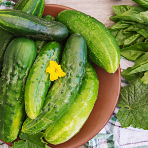 Иван Долгий: что можно и нельзя делать 1 июня