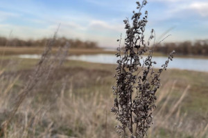 Прогноз погоды во Владимирской области на 23 ноября 2025 года