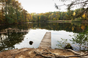 С начала купального сезона во Владимирской области утонуло 35 человек