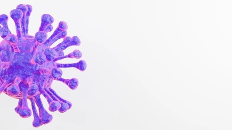 Коронавирус во Владимирской области: 18 апреля
