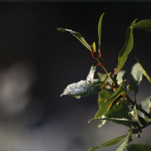 Во Владимирской области в выходные начнется оттепель