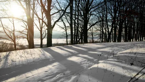 Во Владимирской области январь закончится плюсовой температурой