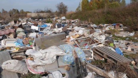 Жители Владимирской области жили рядом со стихийной свалкой в 500 кв. метров