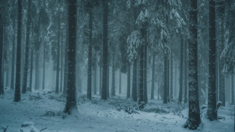 Во Владимирской области нашли мертвым 27-летнего парня в серо-зеленой куртке