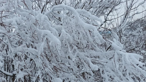 Прогноз погоды во Владимире и области на 28 декабря