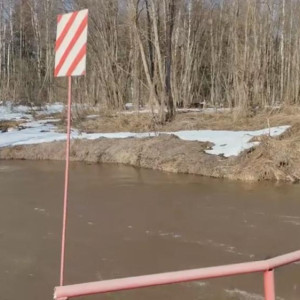 Весеннее половодье во Владимирской области началось с Александровского района