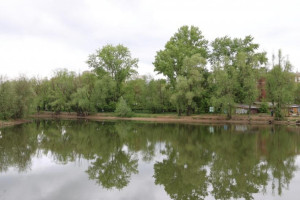 Во Владимире проект благоустройства Соловьиного пруда разработает ООО ««ПБ «СпецПРО»