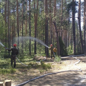 Владимирская область получит 6 автоцистерн для тушения лесных пожаров