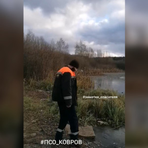 Спасатели предотвратили трагедию с ребенком на пруду в Коврове