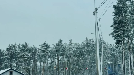 МЧС разослало экстренное предупреждение о непогоде во Владимирской области