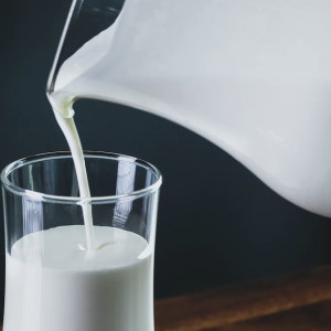 Депутат назвал ситуацию на рынке продажи молока во Владимирской области катастрофической