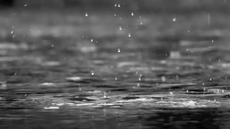 Во Владимирскую область придут затяжные дожди